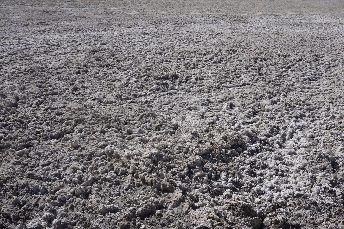 Landing Page 2_dsc1957.jpg