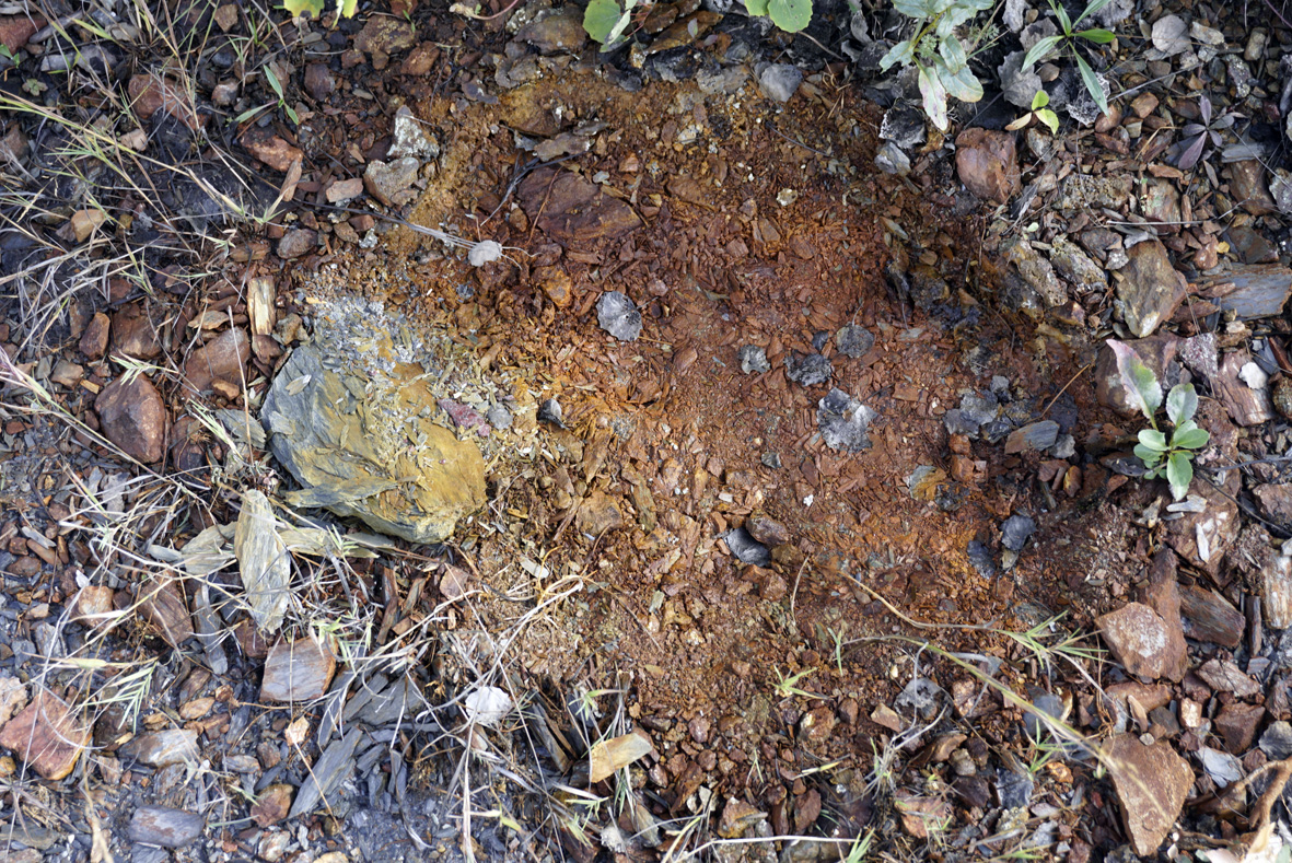 Landing Page small_hm_rinnert_105.jpg