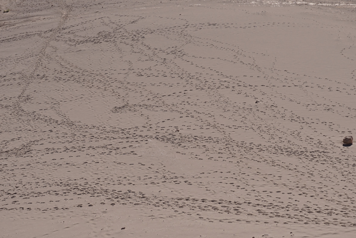 Landing Page 4_dsc2117.jpg